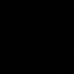 Meet your Posher, Alejandra